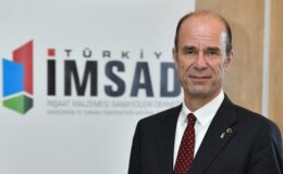 Tayfun Küçükoğlu Kimdir?