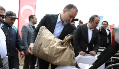 SİLİVRİ BELEDİYESİ 1.000 DÖNÜM ARAZİSİNE MİLLİ AYÇİÇEĞİ EKİYOR