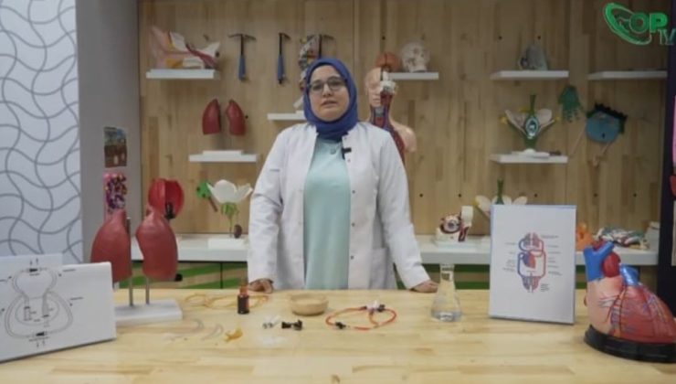 BİLİM GAZİOSMANPAŞA’DAN ÇEVRİMİÇİ ATÖLYE EĞİTİMLERİ