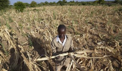 Çin, 20’den fazla Afrika ülkesine acil gıda yardımı sağlayacak