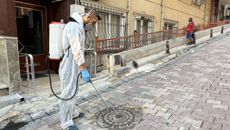 SİNEK VE HAŞERELERE KARŞI KÂĞITHANE’DE TAM ZAMANLI MÜCADELE