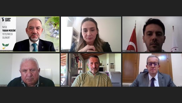 İSTİB’DE YABAN MERSİNİ KONUŞULDU: “PAZAR BULUP BÜYÜK ÖLÇEKTE ÜRETMELİ”