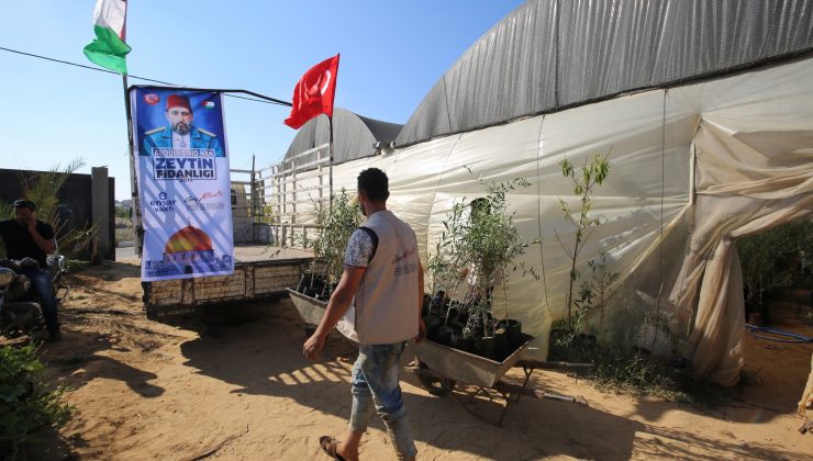 Türkiye’den Kudüs’te Zeytin Fidanlıkları