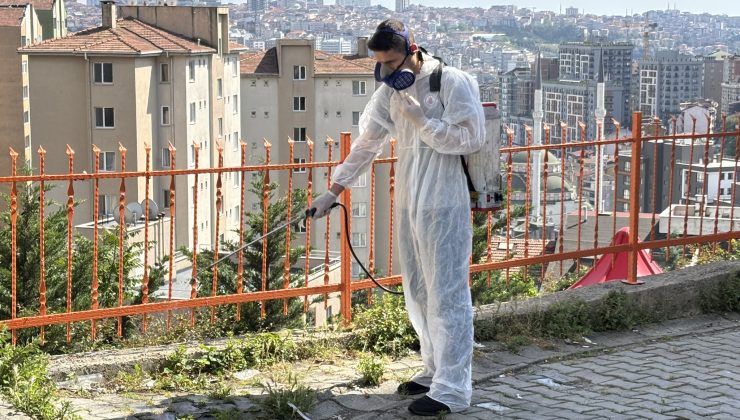 KÂĞITHANE’DE YAZ BOYU HAŞERELERE GEÇİT YOK