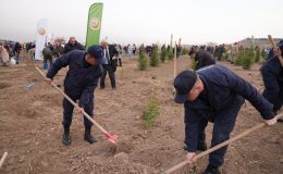 OGM, Milli Ağaçlandırma Günü için tüm hazırlıkları tamamladı