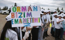 “Orman Benim” Kampanyası 81 İlde Büyük Katılımla Gerçekleştirildi