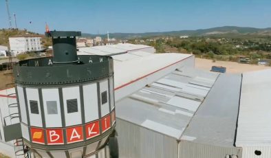 Şirketleri Artık Büyüklük Değil, Dönüşüm Gücü Ayakta Tutuyor