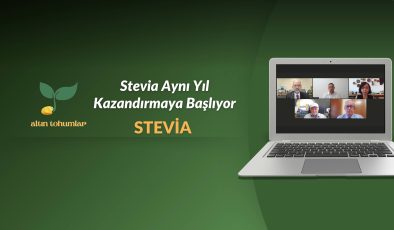 Stevia Aynı Yıl Kazandırıyor: Üreticide Kârlılık İkinci Yılda Katlanıyor
