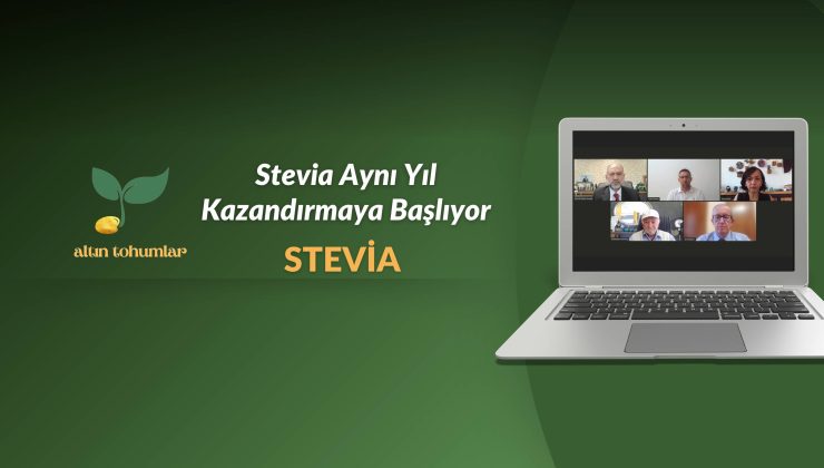 Stevia Aynı Yıl Kazandırıyor: Üreticide Kârlılık İkinci Yılda Katlanıyor