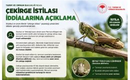 Tarım ve Orman Bakanlığı’ndan ‘Çekirge İstilası’ İddialarına Açıklama