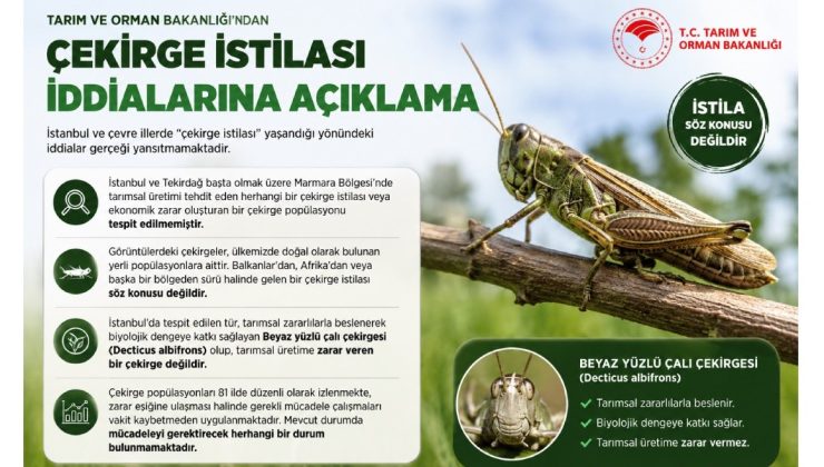 Tarım ve Orman Bakanlığı’ndan ‘Çekirge İstilası’ İddialarına Açıklama
