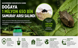 Kahverengi Kokarcaya Karşı Doğaya 1 Milyon 650 Bin Samuray Arısı Salındı