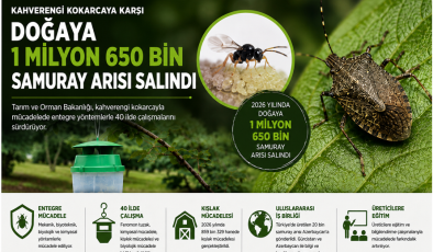 Kahverengi Kokarcaya Karşı Doğaya 1 Milyon 650 Bin Samuray Arısı Salındı