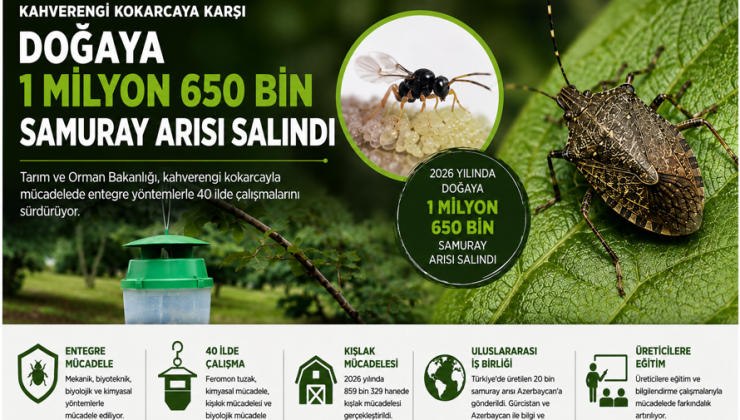Kahverengi Kokarcaya Karşı Doğaya 1 Milyon 650 Bin Samuray Arısı Salındı